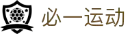 必一(运动科技有限公司)官方网站-B·Sport
